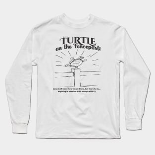 TurtleonFencepost2 Long Sleeve T-Shirt